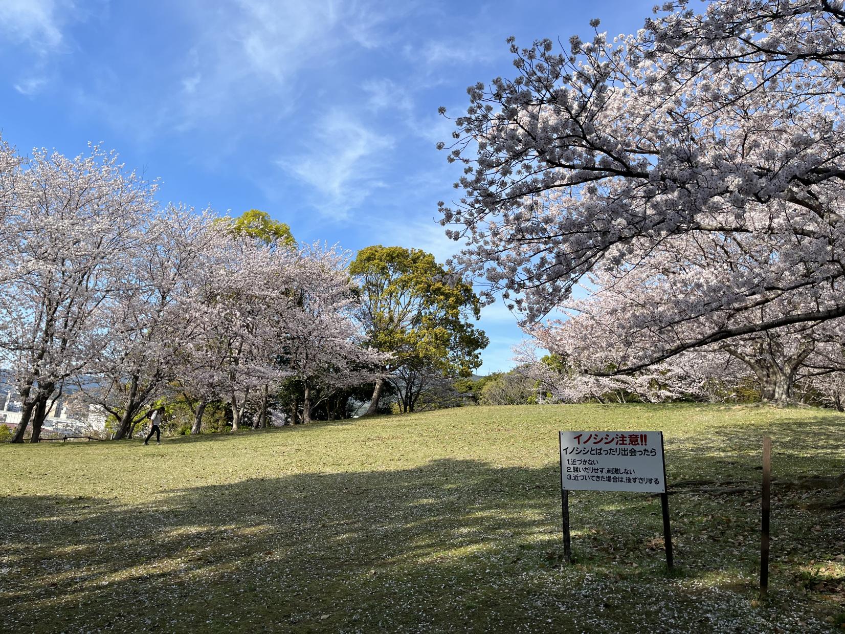 干尽公園-1