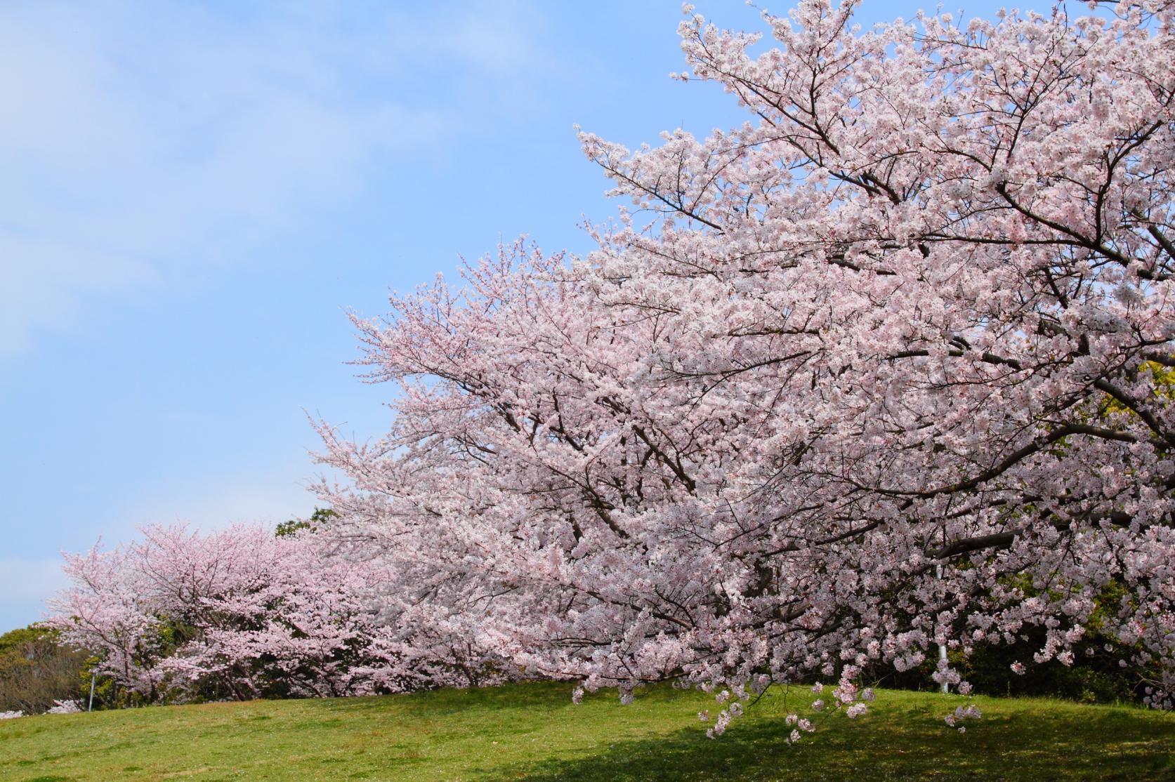 画像提供：PIXTA(ピクスタ)