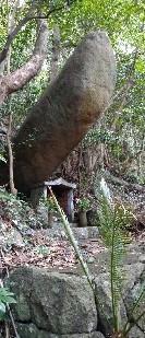 大人の遠足シリーズ『椛島』-1