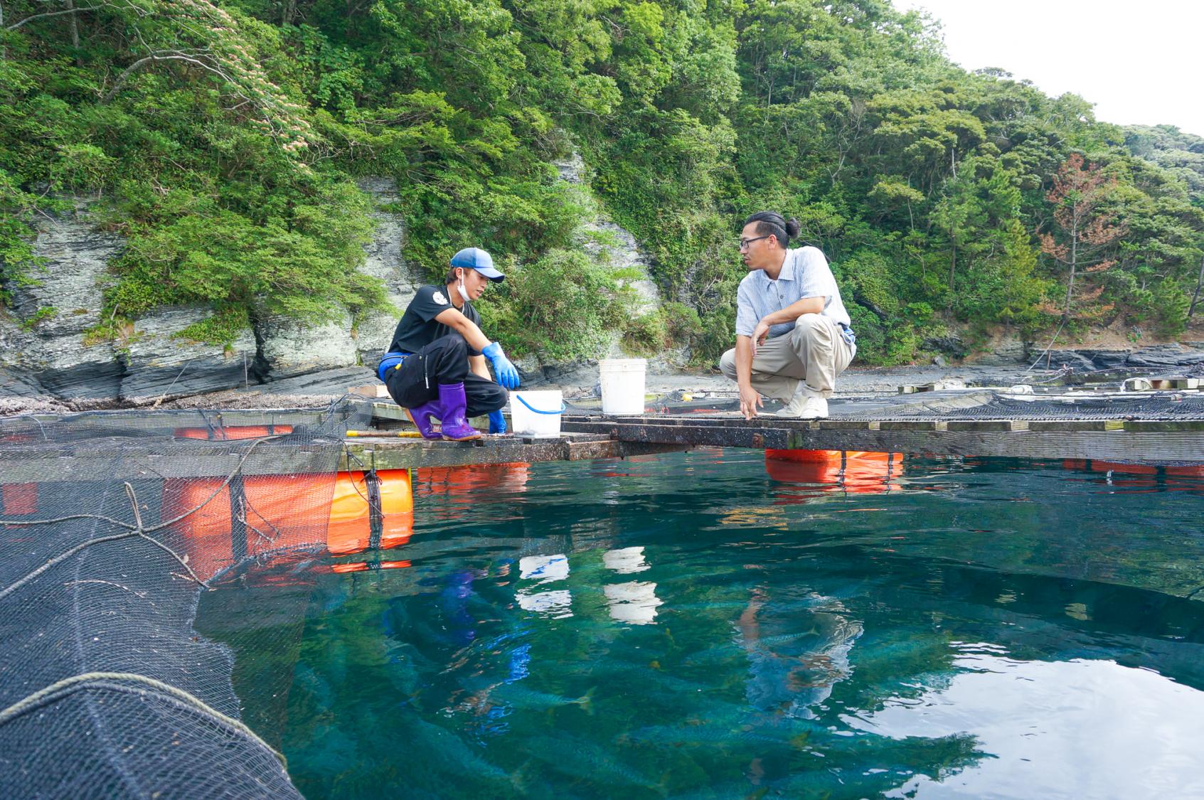 対馬の海探検ツアー「海遊記」-2