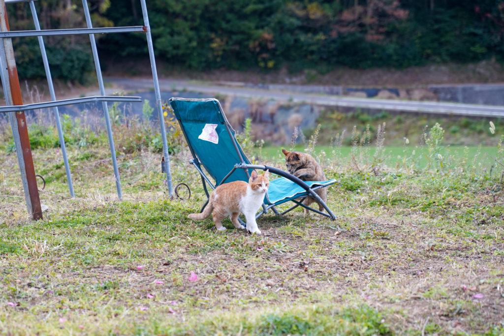 ぶらり里山ウォーキング-2