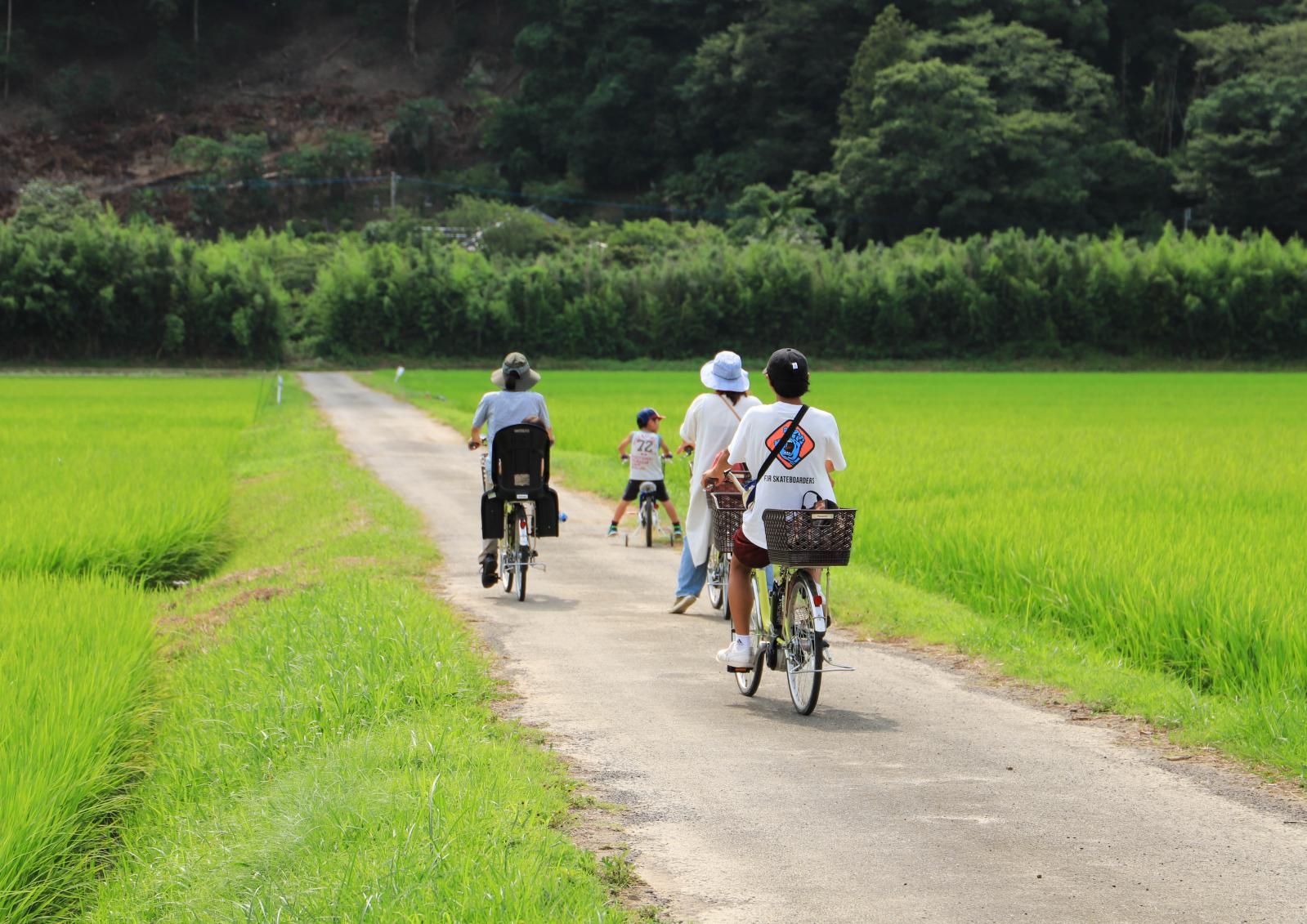 広大な佐護平野を電動アシスト自転車で楽々サイクリング♪-1