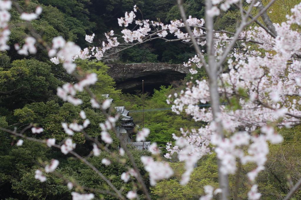 Ohashi Kannon Spring Festival-1