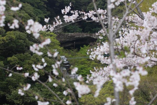Ohashi Kannon Spring Festival-1