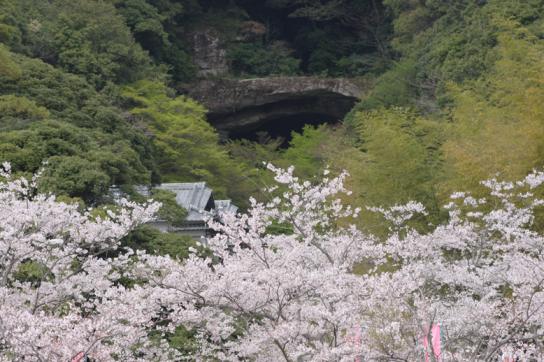Ohashi Kannon Spring Festival-2