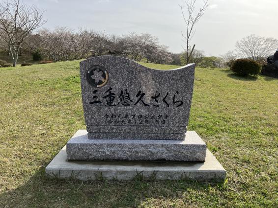 長崎市さくらの里公園-2