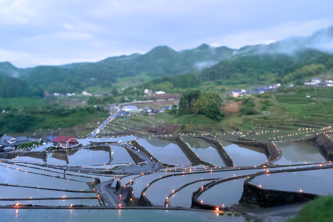 Onigi Terraced Rice Fields Lantern Festival-5