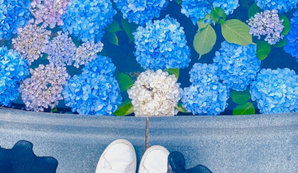あじさい花手水-1