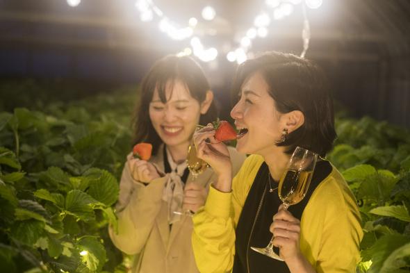 魅惑のナイトストロベリー　～夜のいちご狩り体験プラン～-2