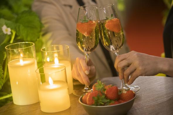 魅惑のナイトストロベリー　～夜のいちご狩り体験プラン～-1