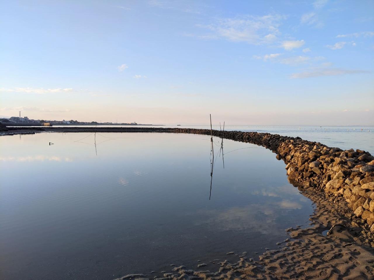 長浜海岸のスクイと「スクイまつり」-2
