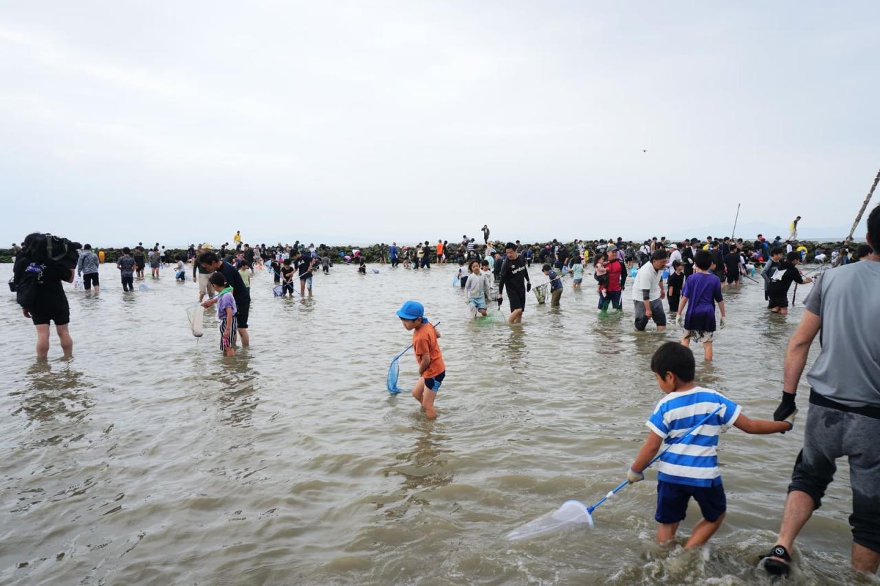 長浜海岸のスクイと「スクイまつり」-3