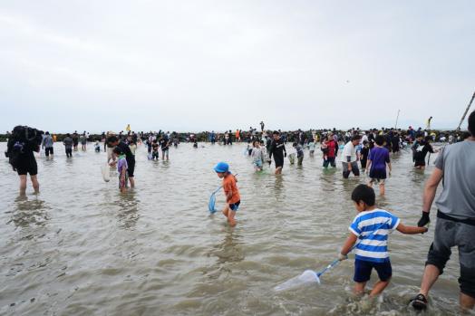 長浜海岸のスクイと「スクイまつり」-3