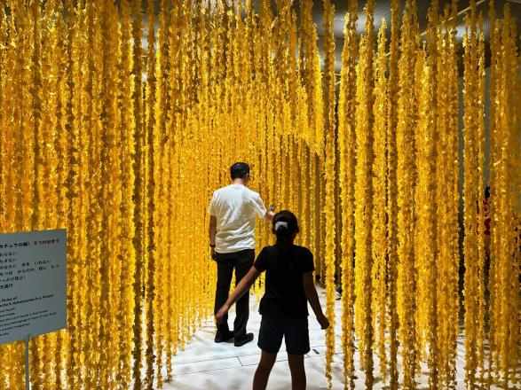 ポケモン×工芸展 -美とわざの大発見--4