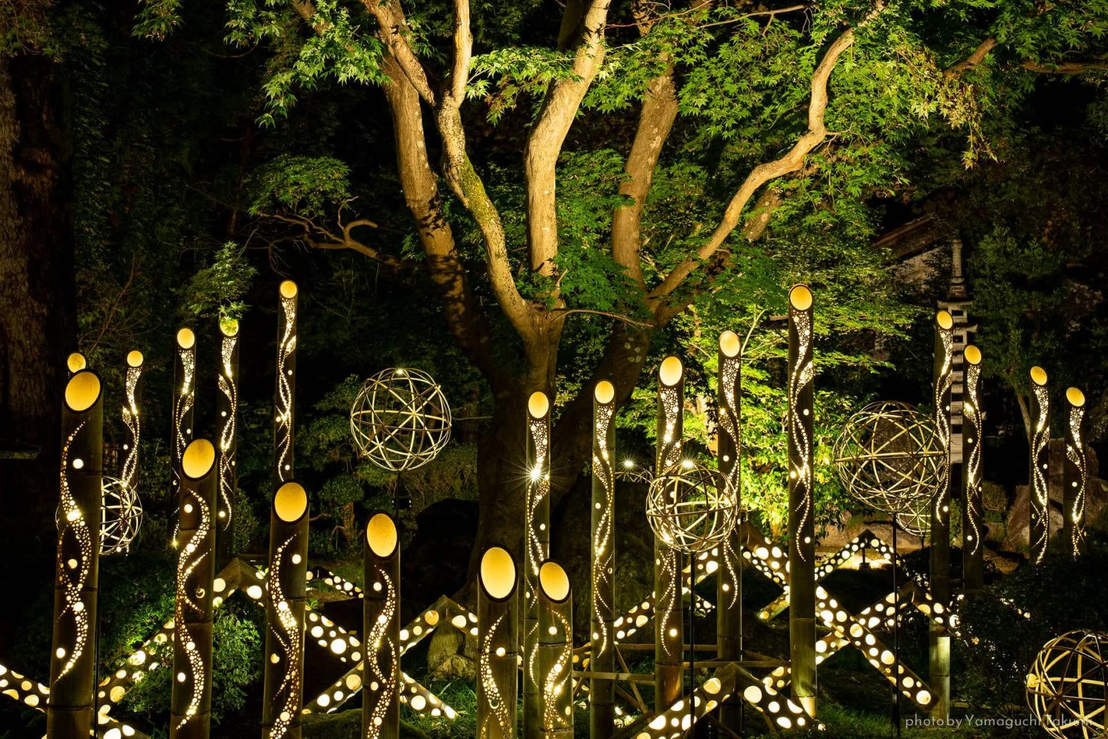 くうじの灯りフェスタ-4