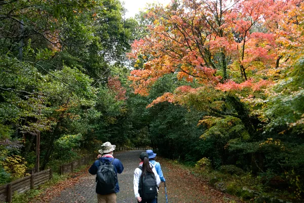 第6回ONSEN・ガストロノミーウォーキングin雲仙温泉-1