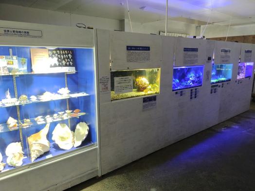 のもざきの小さな水族館 サンゴ礁の家-2