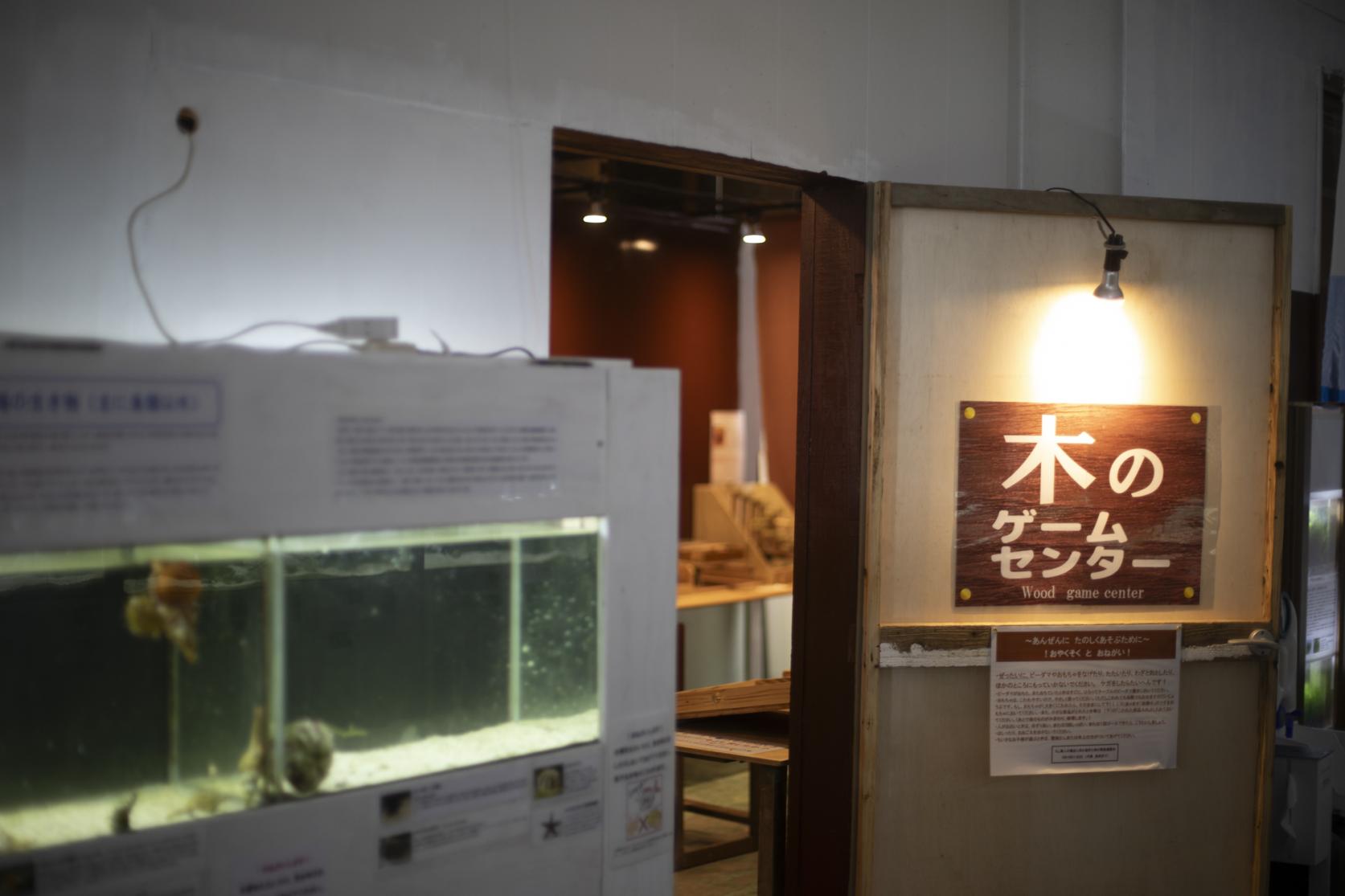 のもざきの小さな水族館 サンゴ礁の家-6