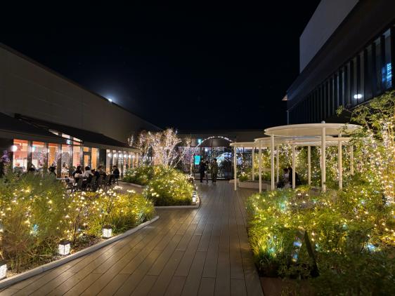 AMU WINTER ILLUMINATION 2025-2