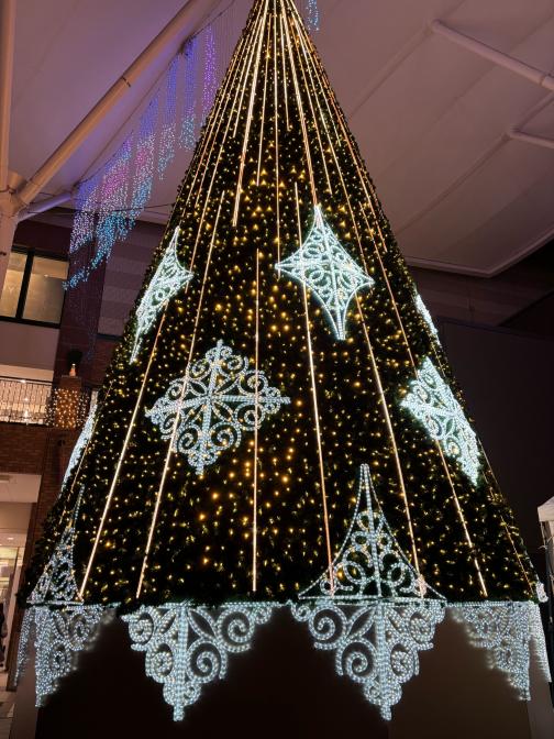 AMU WINTER ILLUMINATION 2025-0