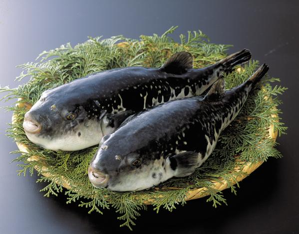 戸石 とらふぐ料理フェア-3