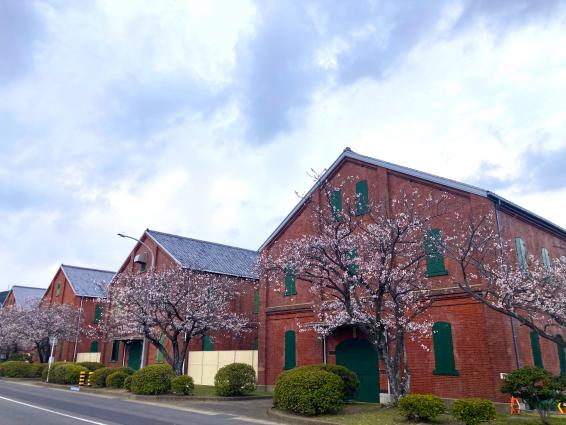 【中止決定】米海軍佐世保基地一般開放（Sasebo Fleet Friendship Day）-1