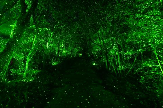 雲仙ボルケーノナイトウォーク２０２６-7