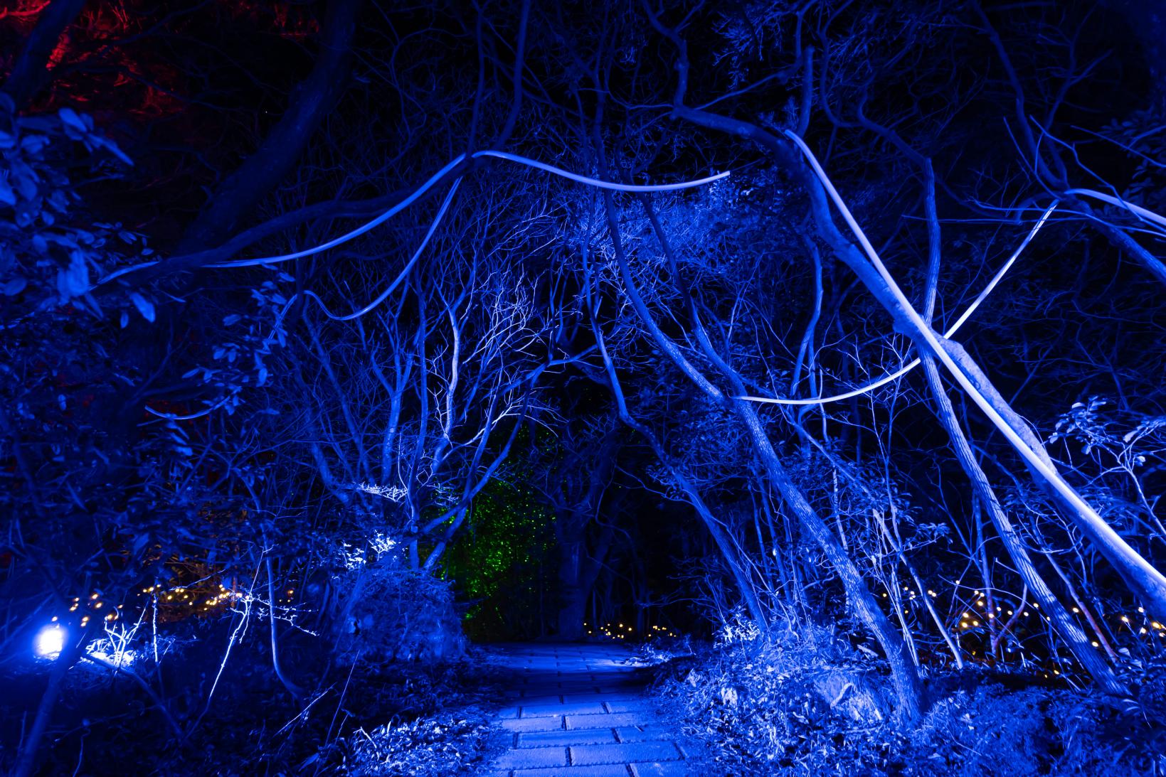 雲仙ボルケーノナイトウォーク２０２６-9