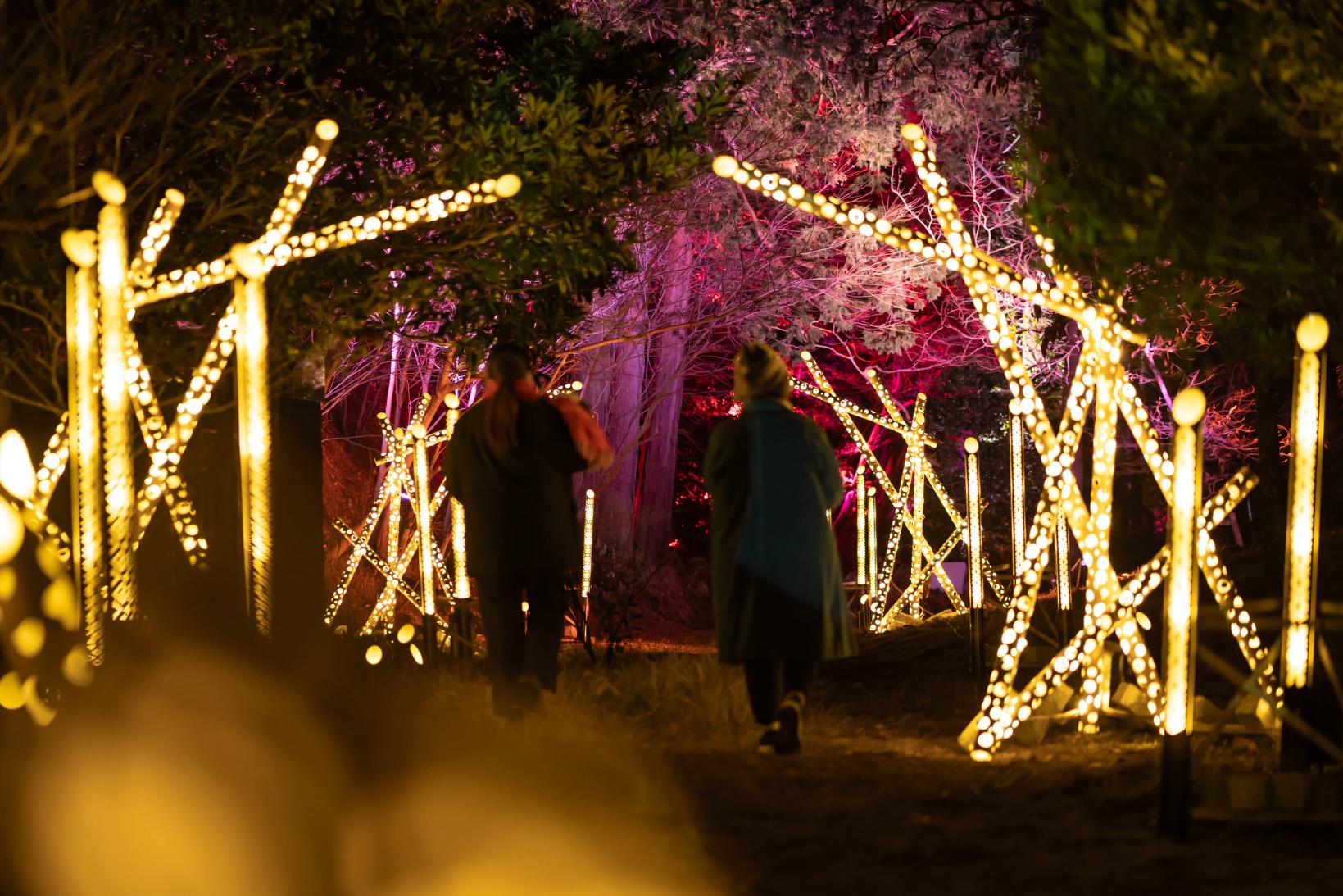 雲仙ボルケーノナイトウォーク２０２６-6