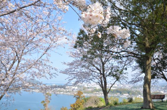 どん牛山-3