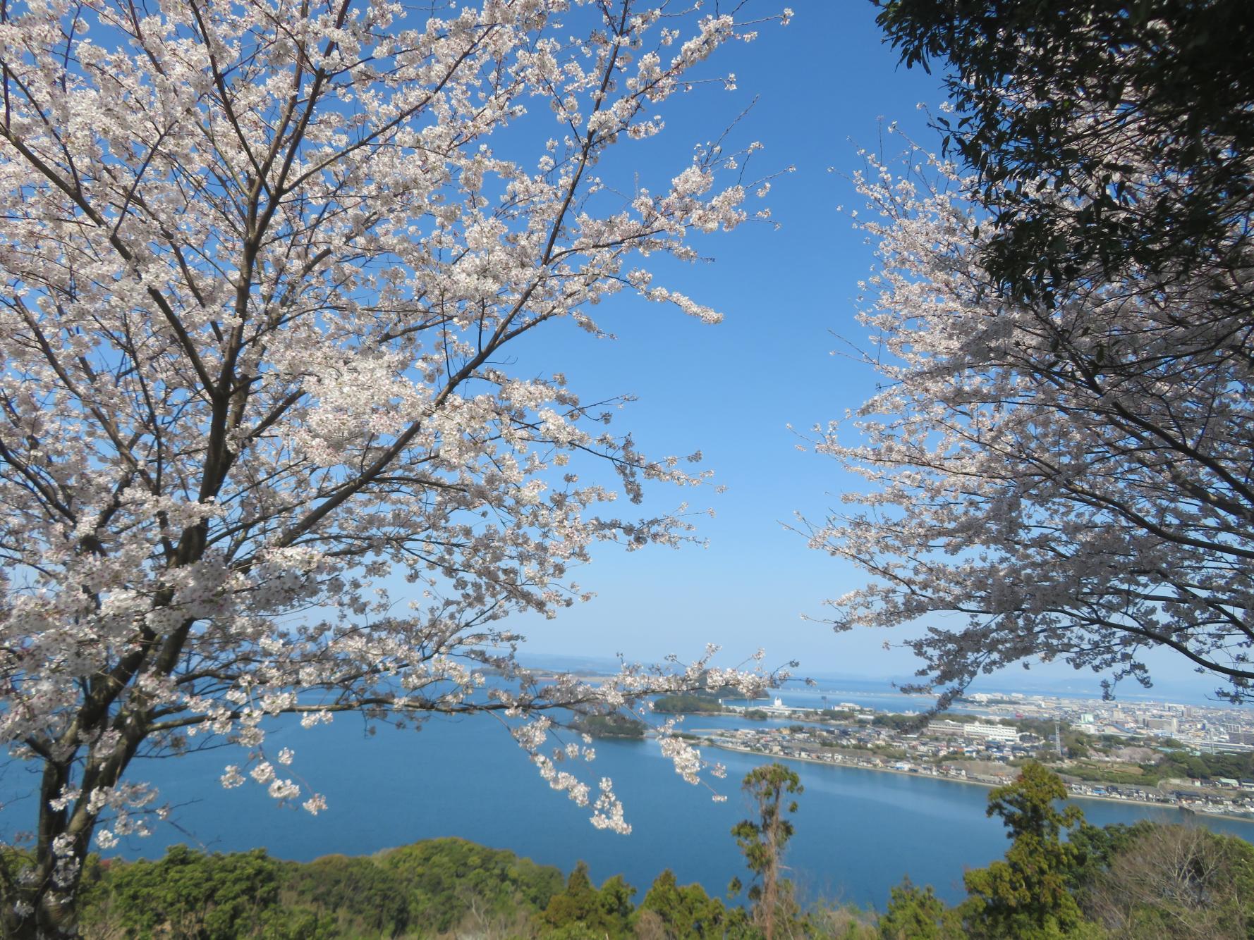どん牛山-5