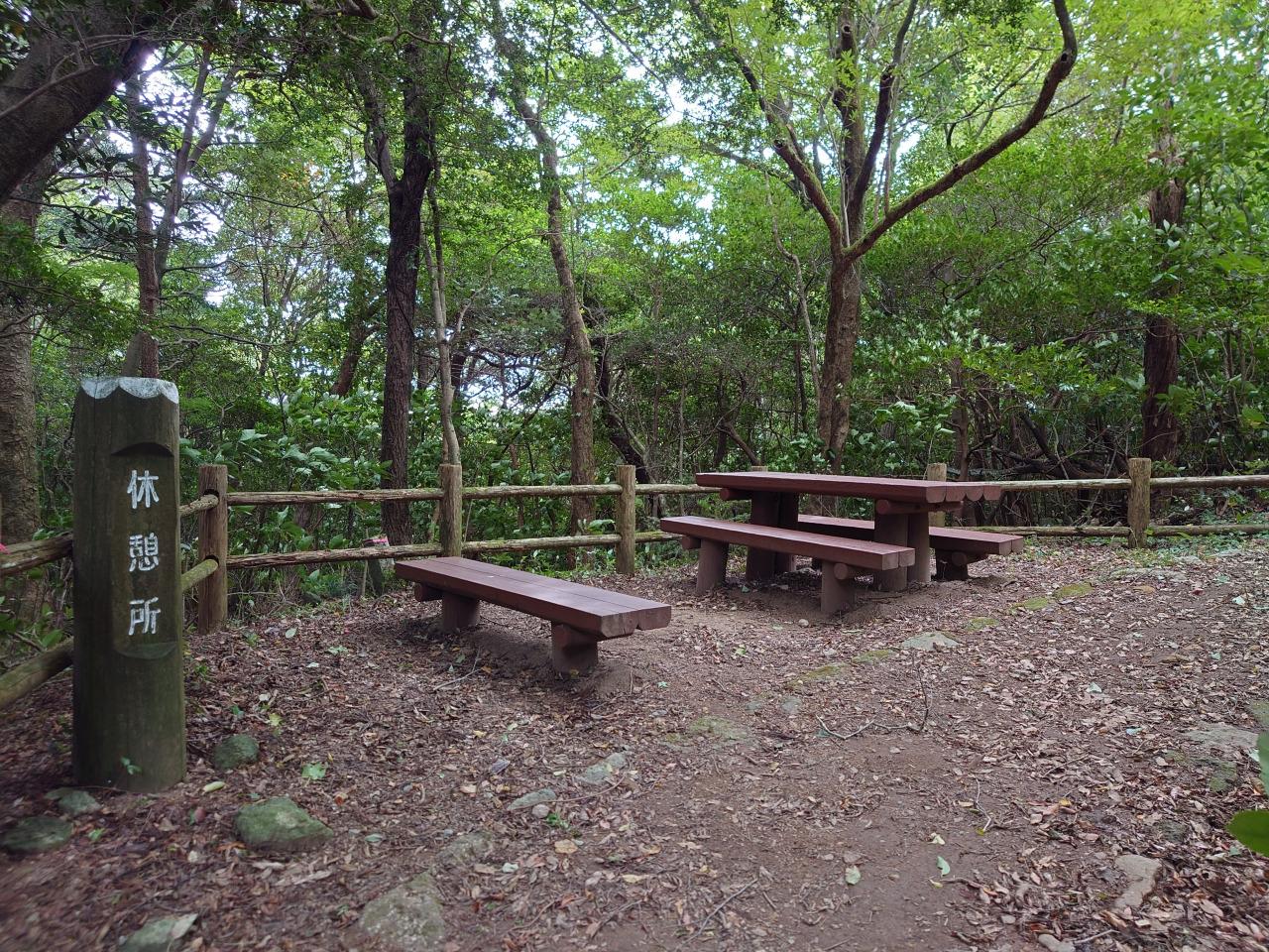 絹笠山-7