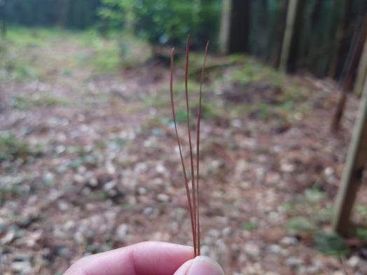 一切経の滝-6