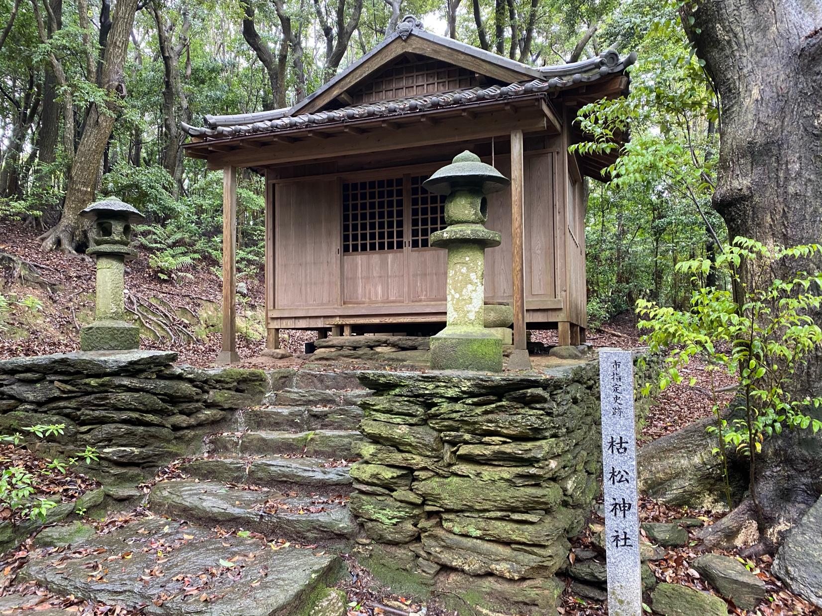 【2日目】枯松神社-1