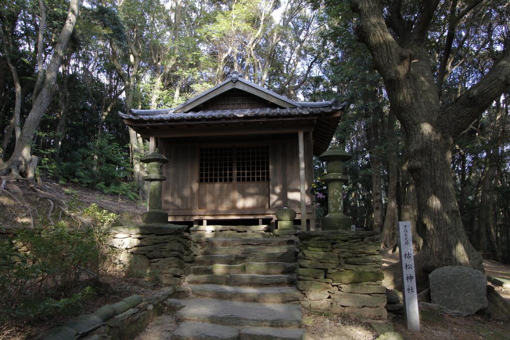 【2日目】枯松神社-1