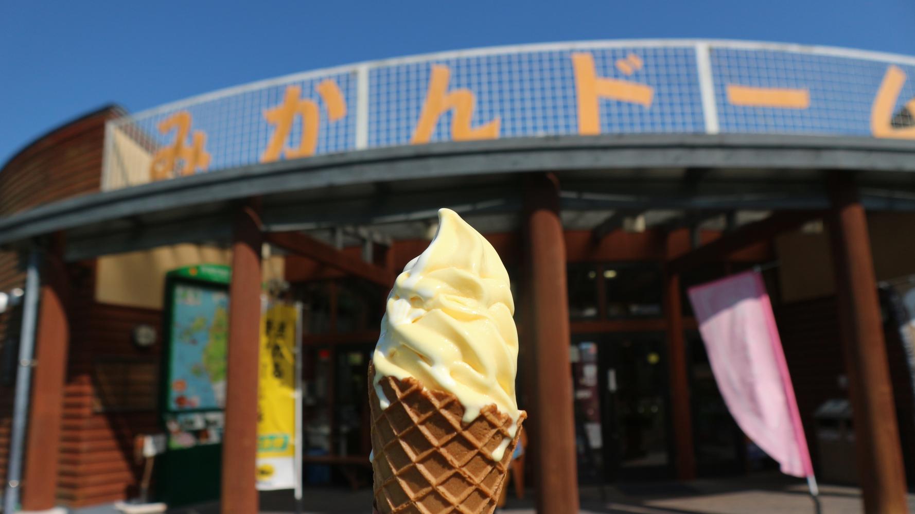 道の駅さいかい　みかんドーム-6