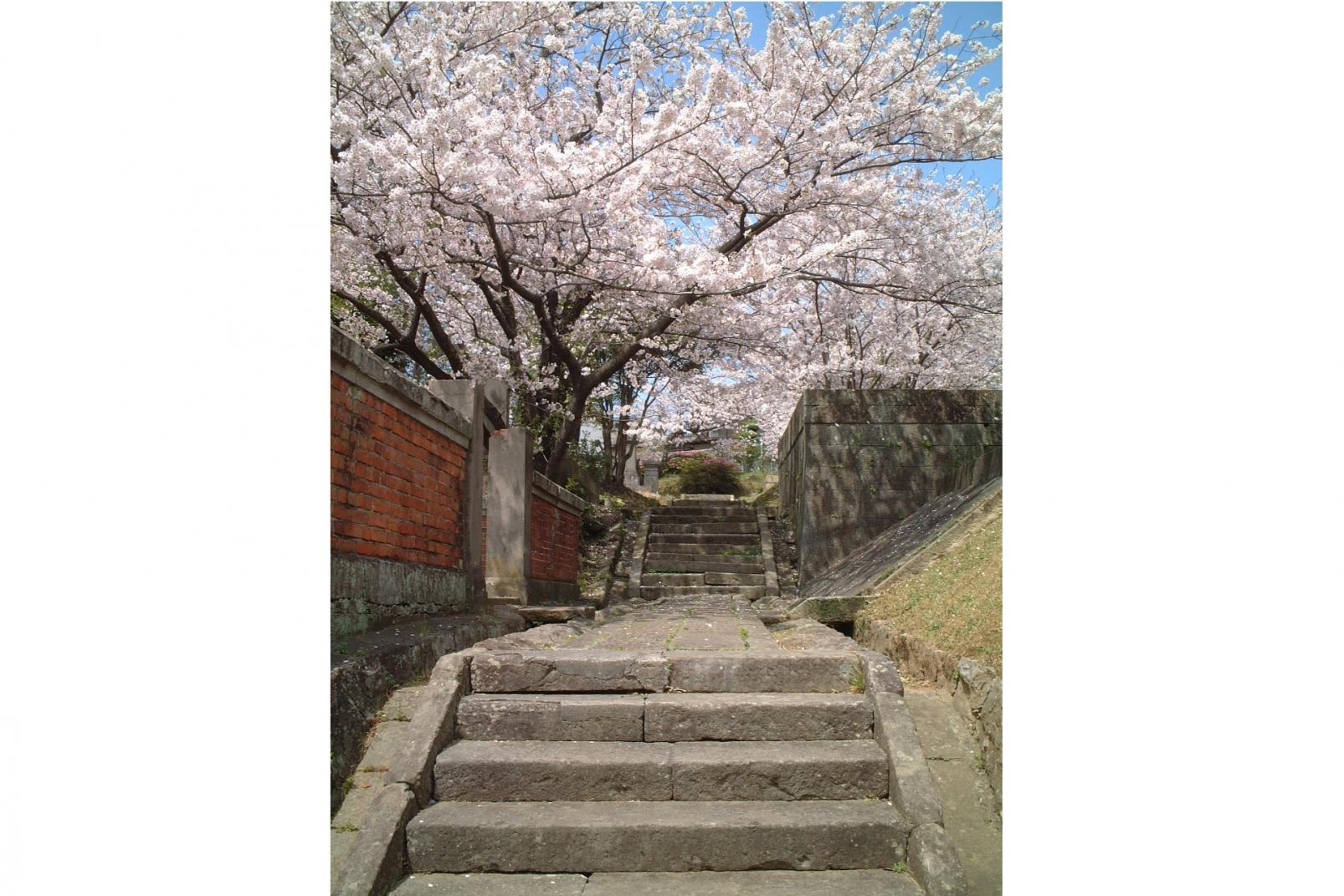 坂本國際墓地-5