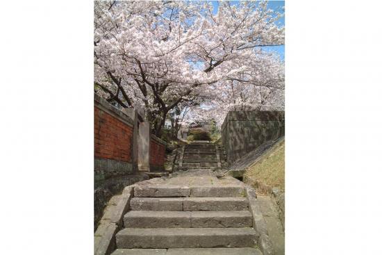 坂本國際墓地-5