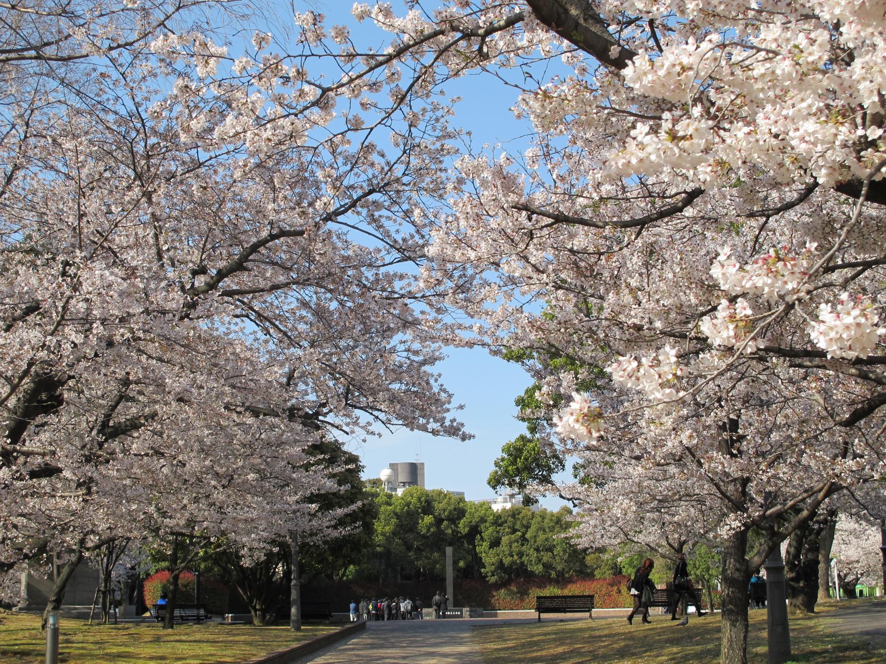 原爆中心地公園-4