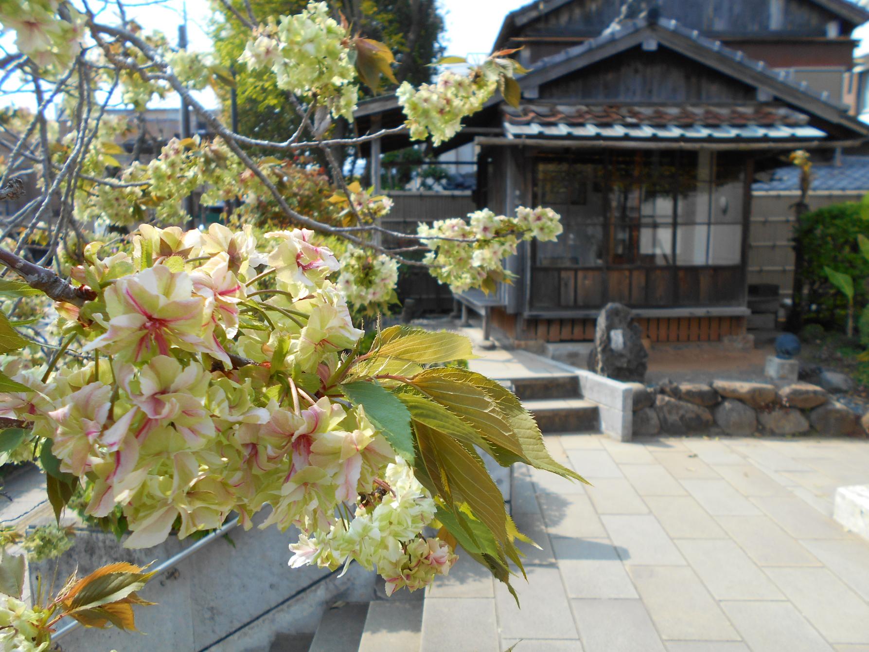 永井隆纪念馆-6
