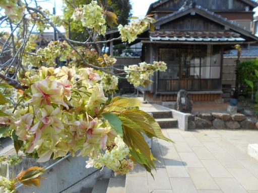 永井隆纪念馆-6