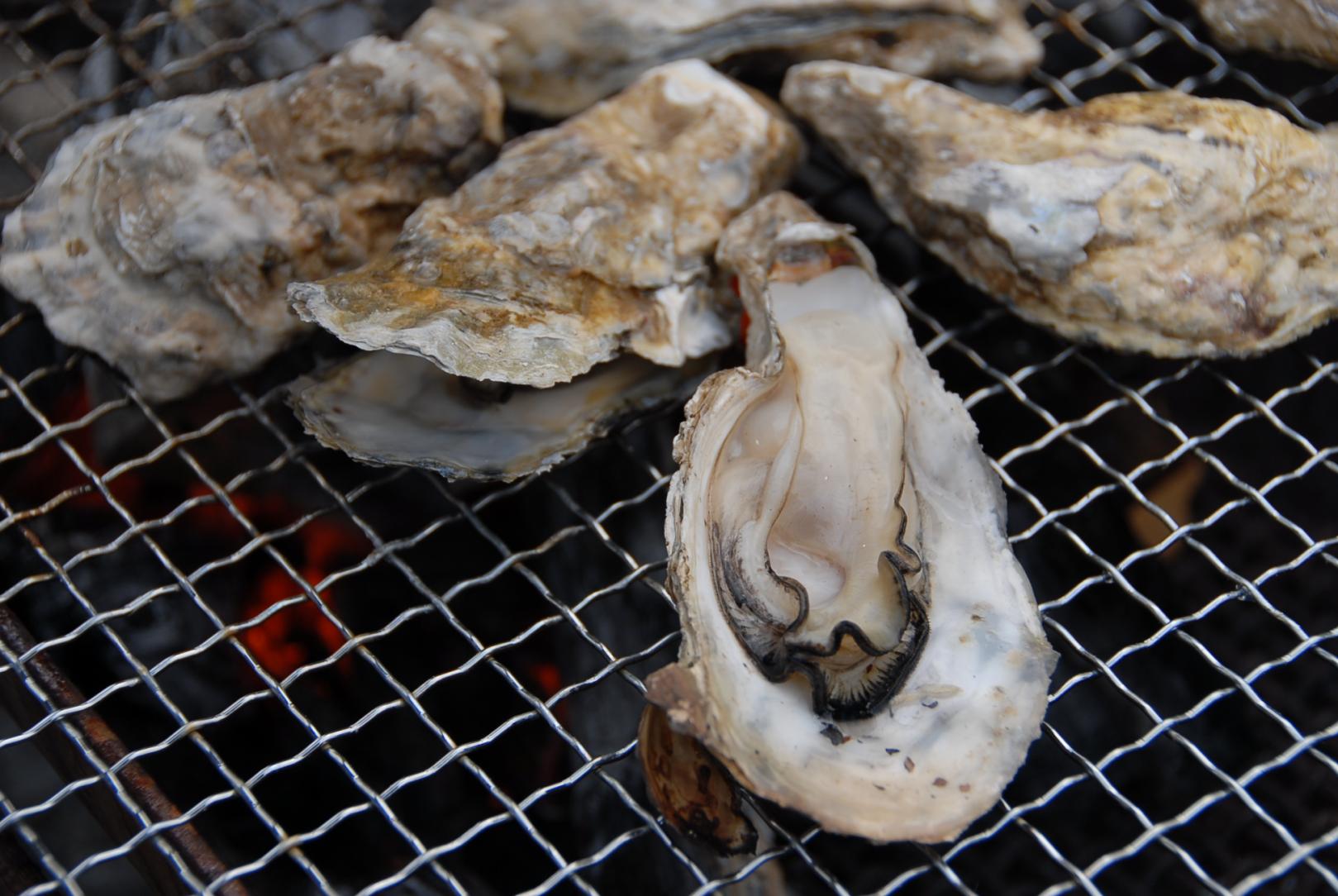 諫早湾漁協小長井直売店 かき焼き小屋-1