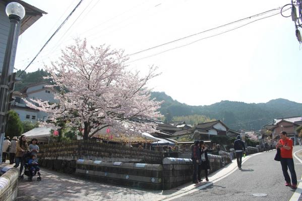 中尾山　桜陶祭-5