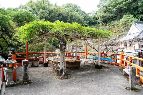 Fukuishi Kannon Seigan-ji Temple-8