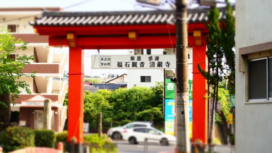 Fukuishi Kannon Seigan-ji Temple-1