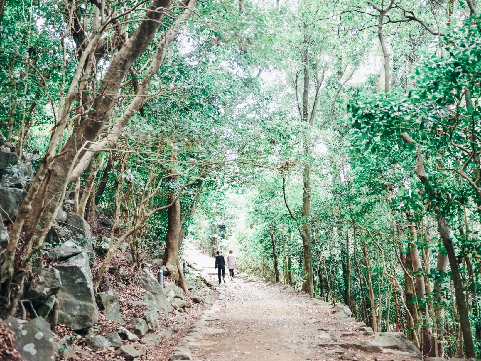 石岳展望台-8