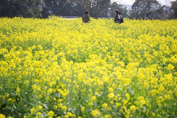 덴카이호 전망대 (展海峰)-1