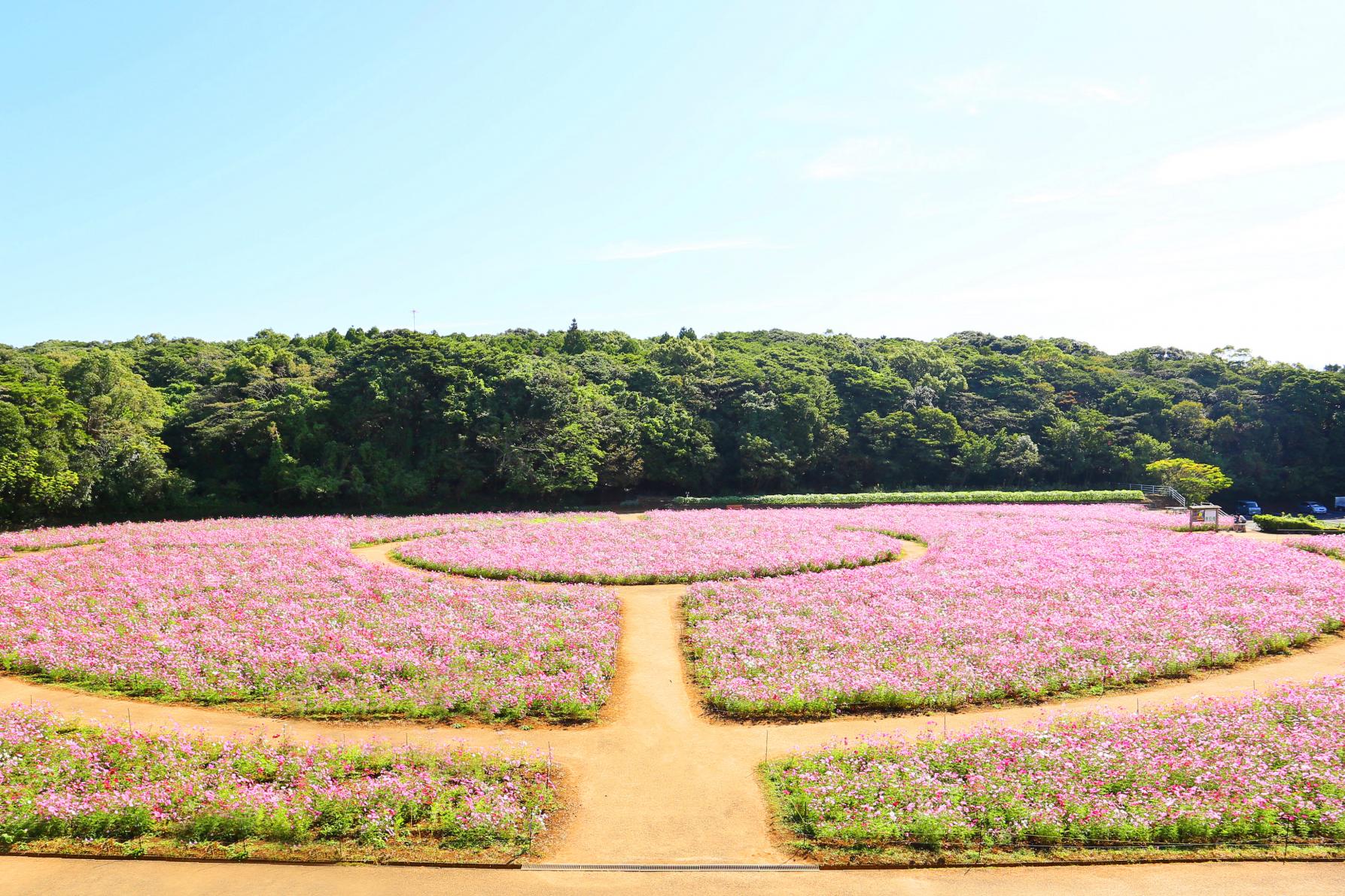 덴카이호 전망대 (展海峰)-8