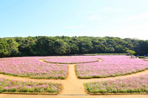 덴카이호 전망대 (展海峰)-8