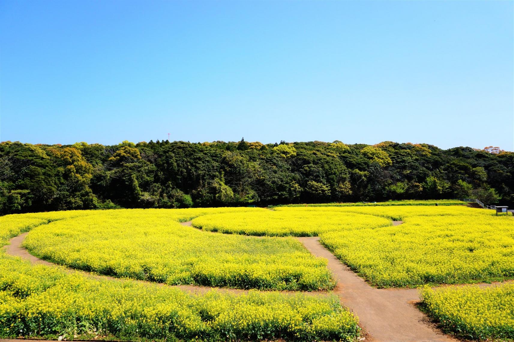 Tenkaiho Observatory-9